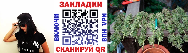 Где купить наркотики Ейск Alpha PVP  Кетамин  Каннабис 