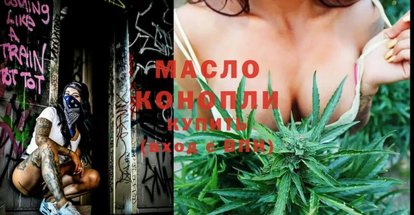 МДПВ Богородск