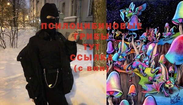 МДПВ Богородск
