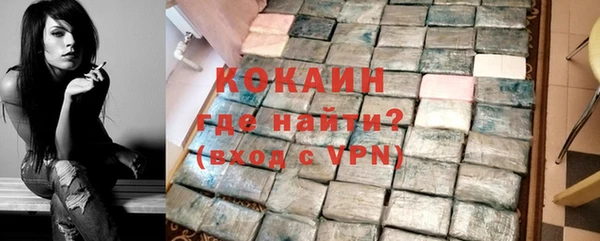 МДПВ Богородск